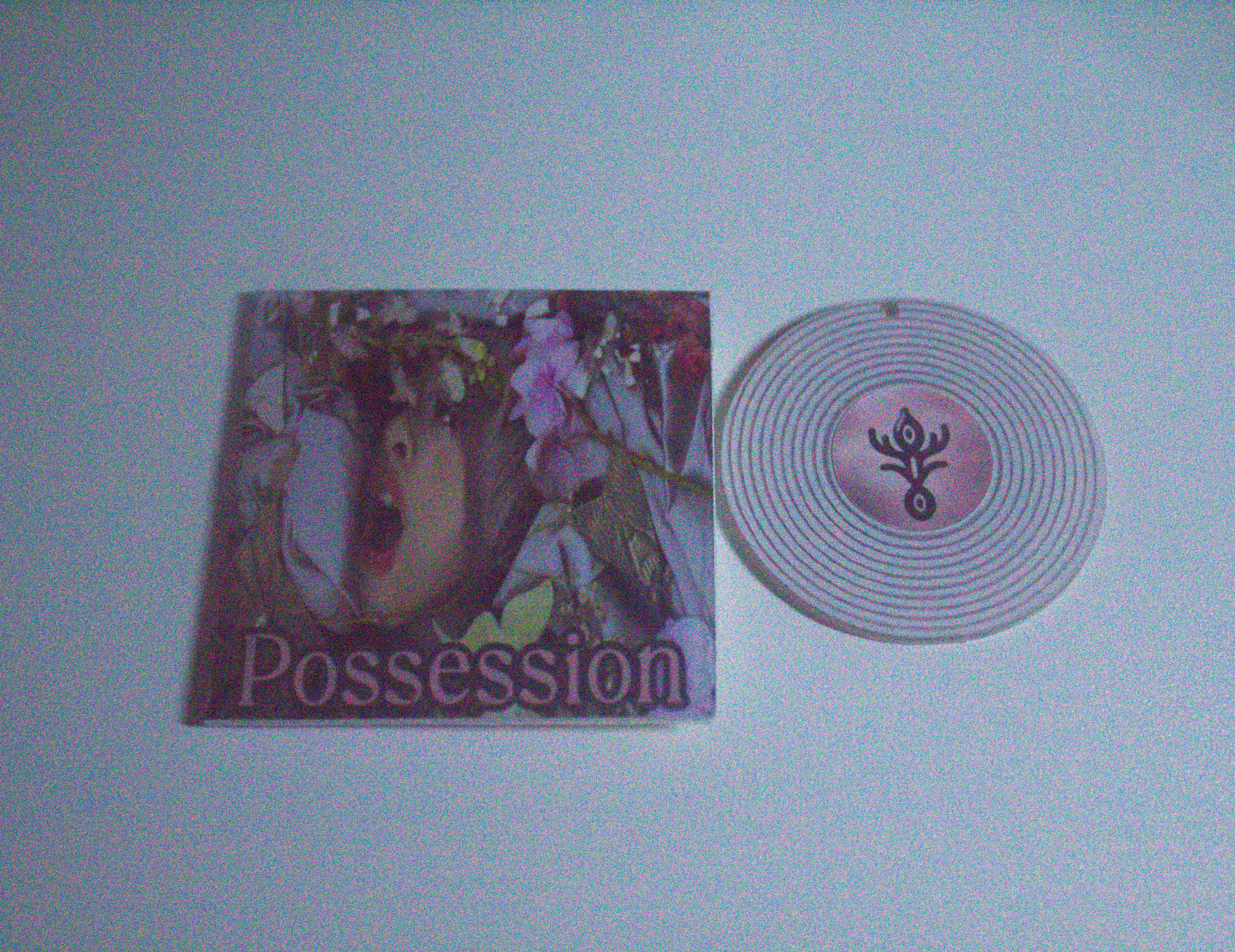 Possessions Slime
